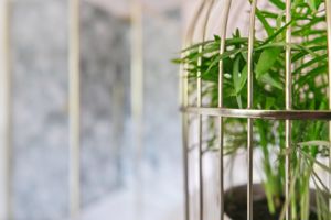 Photo 25- click for photo gallery